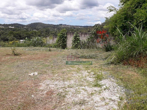 Imagem 6 de 30 de Chácara Com 4 Dormitórios À Venda, 4000 M² Por R$ 650.000 - Recanto Maria De Jesus - Suzano/sp - Ch0563