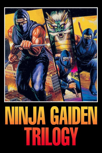 Ninja Gaiden Trilogy Snes Super Nintendo Fisico 1, 2 Y 3 Nes (Usado)