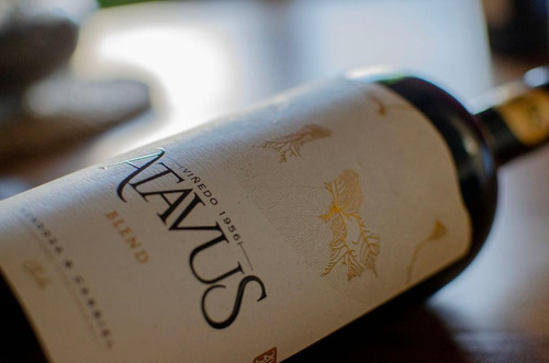 Vino Premium Atavus Blend Valle Cachapoal Viña Boutique