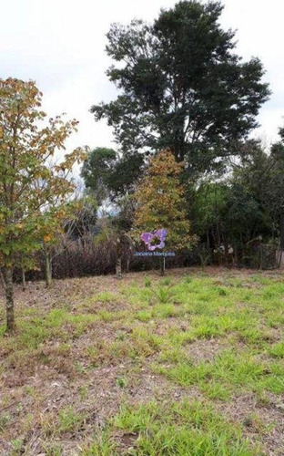 Imagem 2 de 4 de Terreno À Venda, 4006 M² Por R$ 700.000,00 - Bom Jardim - Araçariguama/sp - Te0712