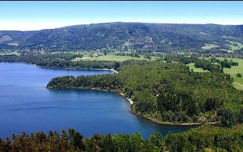 Agrícola En Venta En Cunco
