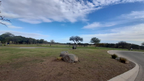 Terreno En El Terrón