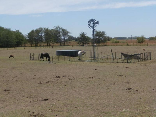 Imagen 6 de 13 de Campo Agricola 480 Hectareas Casco De Epoca