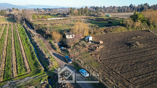 Agrícola En Arriendo En Teno