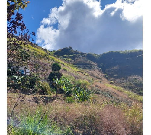 Imagen 14 de 21 de Best House Vende Terreno En El Jarillo Cerca De Quebrada Honda