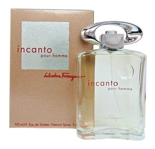 Salvatore Ferragamo Incanto Pour Homme 100ml Mil Esencias G
