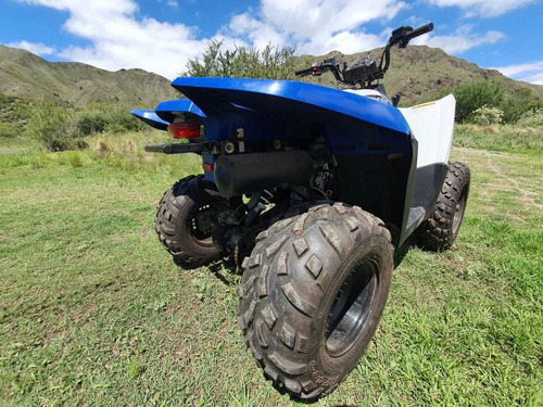 Polaris Trail Blazer Trail Blazer 330