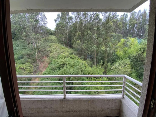Lindo Departamento En Pedro De Valdivia