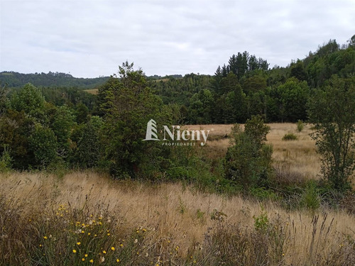 Terreno 5000 Mts En Venta Con Orilla De Estero, Los Muermos