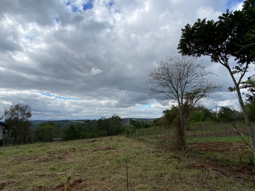 Chácara 10.000 M² - Lomba Grande - Novo Hamburgo - Rs - 2117 - 33898402