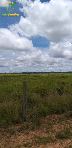 Imagem 10 de 15 de Fazenda À Venda Em São Felix Do Xingu - Pa - 2.904 Hectares (dupla Aptidão) - 2033