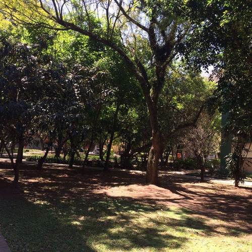 Imagem 7 de 17 de Apartamento Petropolis Porto Alegre - 1331
