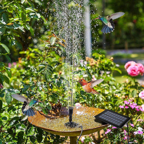 Un Comedero Para Pájaros Con Forma De Fuente Solar Adecuado