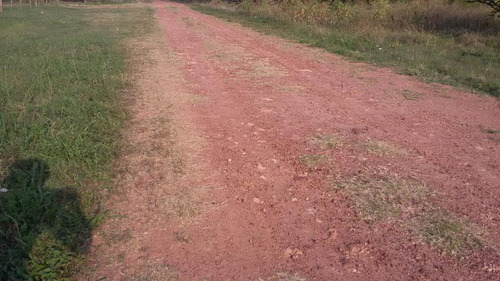 Terreno - Nueva Palmira
