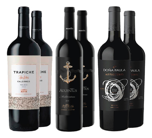 Vino Tinto Selección Gualtallary X6