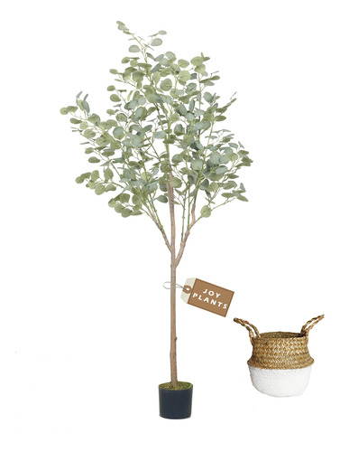 Joyplants Arbol De Eucalipto Artificial De 5 Pies, Modernas 