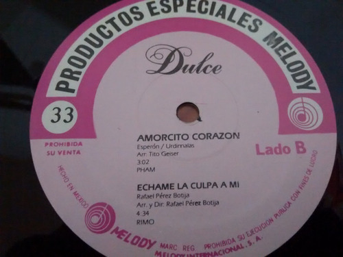 Dulce Amor En Silencio Disco Poster Lp (Usado)