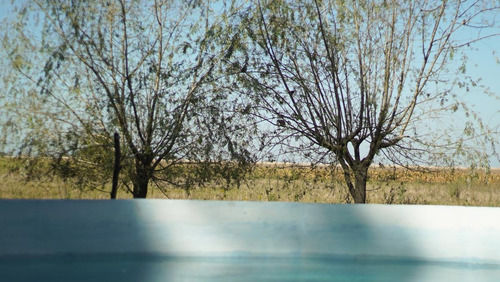 Imagen 9 de 23 de Campo Mixto De 95 Has - Antonio Carboni, Lobos