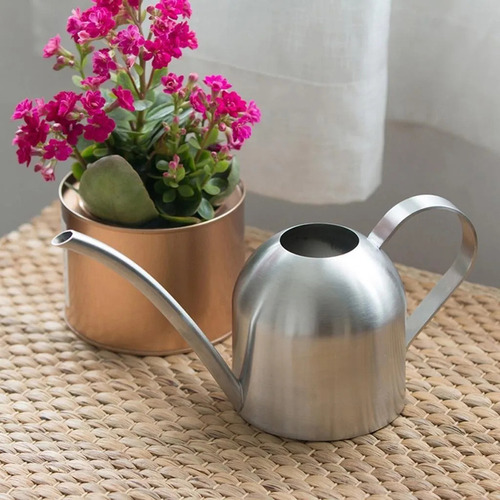 Regadera Pequeña De Acero Inoxidable, Diseño De Caño Largo