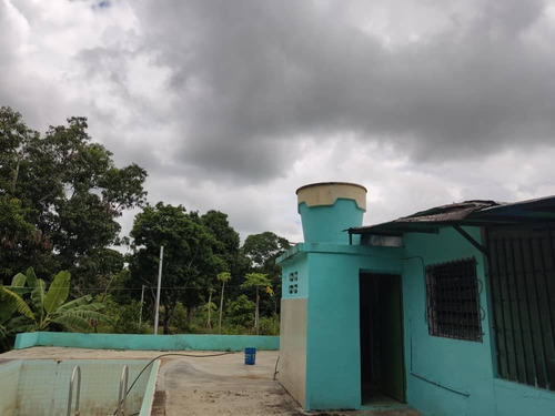 Imagen 5 de 26 de Kn Bienes Raices Vende Finca En El Sector Guayabitos, Tinaquillo Estado Cojedes. Karen Nuñez 0412-7415693