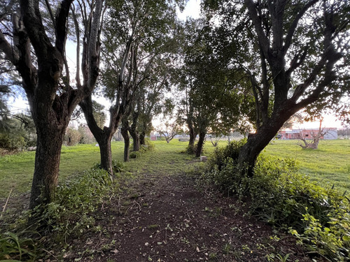 Venta Lotes De 1000 A 2000 M2 Con Escritura Barrio Abierto La Merced 515 Y 149 La Plata