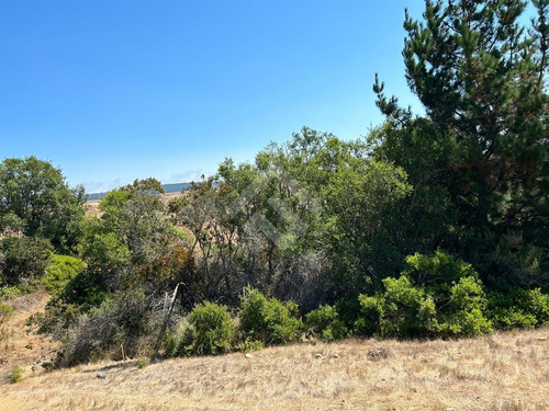 Parcela En Venta En Pichilemu- 5000 Mts