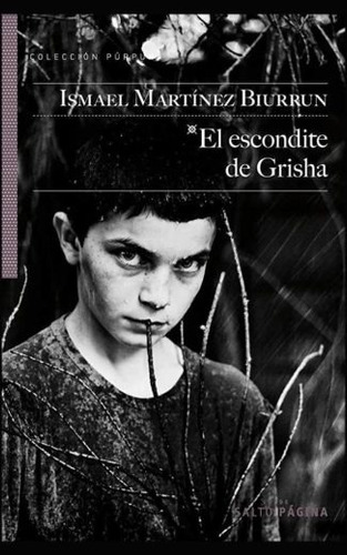 El escondite de Grisha, de Martínez Biurrun, Ismael. Editorial Salto de Página, tapa blanda en español, 2011