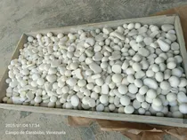 Comprar Piedras De Alumina Para Jardines, Camineriasas Etc Para Mole