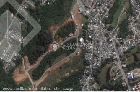 Imagem 1 de 2 de Terreno - Lomba Do Pinheiro - Ref: 296007 - V-296007