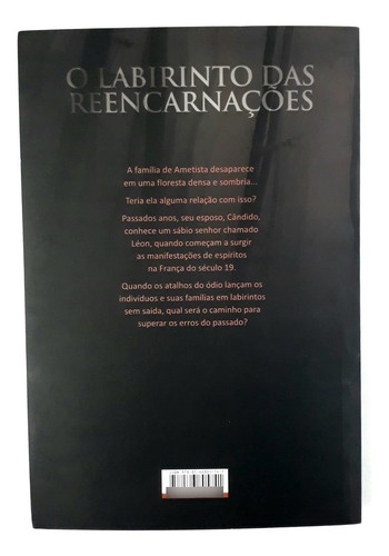 Livro O Labirinto Das Reencarnações - Beatriz Aquino Pelo Espírito Acácio Dos Anjos (Usado)