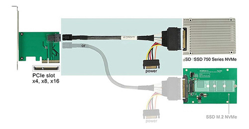 - Cable Integrado Sas Hd A U2./sff-8643 A Sff-8639-fs De 12