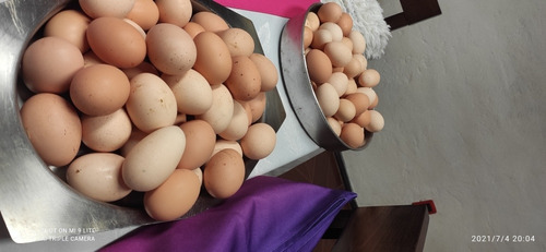 Imagen 3 de 3 de Vendo Huevos Caseros 80 Docenas Caseros Hay Gallinas