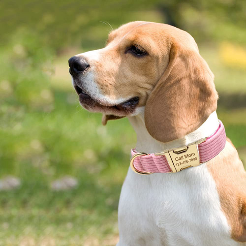 Collares De Perro Personalizados Con Hebilla De Metal,