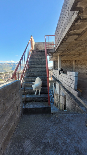Casa Rentera Negociable 3 Departamentos Listos 3 Alqui