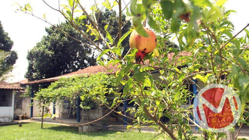 Imagem 13 de 30 de Sítio No Vale Da Figueira, 4 Quartos - Si0003
