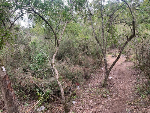 Terreno Construccion En Pucón