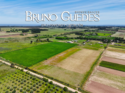 Alquiler De Canchas De Futbol Y Quinchos Montevideo Rural