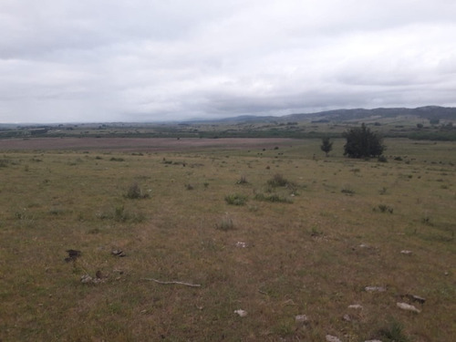 Campo De 47 Has En Paraje Los Caracoles - Consulte !!!!!- Ref: 1359