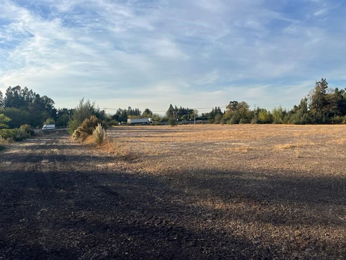 Imagen 4 de 8 de Agrícola En Venta En Curicó