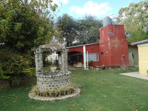 Imagen 5 de 18 de Venta De Chacra