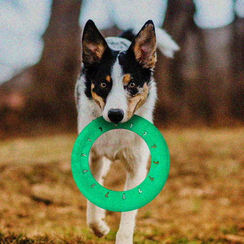 Brinquedo Frisbee Disco Cachorro Kit 2x Disco Flutuante Ergonômico Cor Verde E Amarelo Petlon