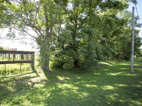 Imagen 5 de 17 de Terreno En Venta En San Antonio De Areco
