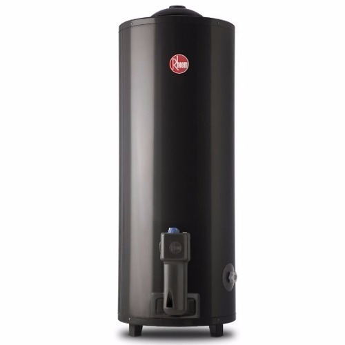 Termotanque Rheem 80 Litros Gas Bajo Consumo Pie Selectogar6