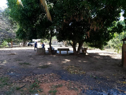 Venta De Parcela En Sector El Bajío Edo Cojedes 18-45
