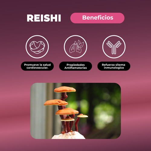 Reishi Hongo 60 Gomitas Karun Life