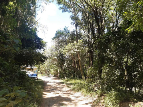 Imagem 9 de 12 de Gh1 Lotes Totalmente Planos Proximo Ao Centro De Ibiuna