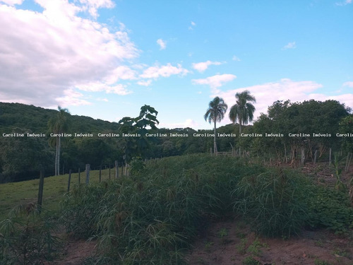 Imagem 9 de 15 de Sítio / Chácara Para Venda Em Mariana Pimentel, Terra Dura - 1259_1-2189697