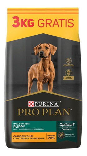 Proplan Puppy Large X 15+3=18 Kg Kangoo Pet