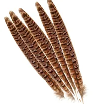 Comprar Plumas De Faisán Naturales Con 5 Plumas 30-35cm
