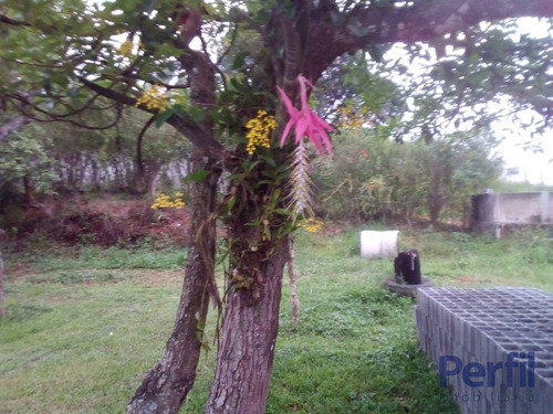 Imagem 4 de 13 de Área Rural - Sítio - 2370